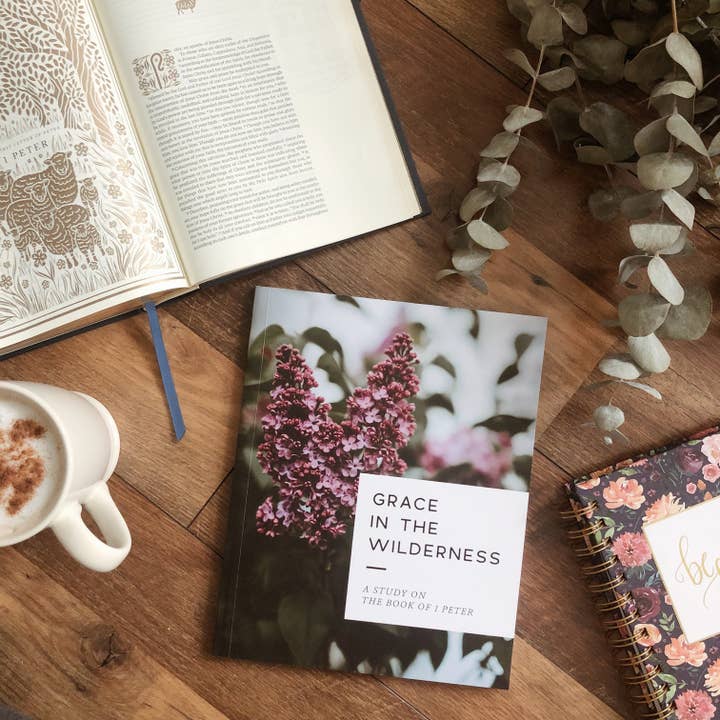 The Daily Grace Co - Wholesale Religion - Grace in the Wilderness | Study on 1 Peter13