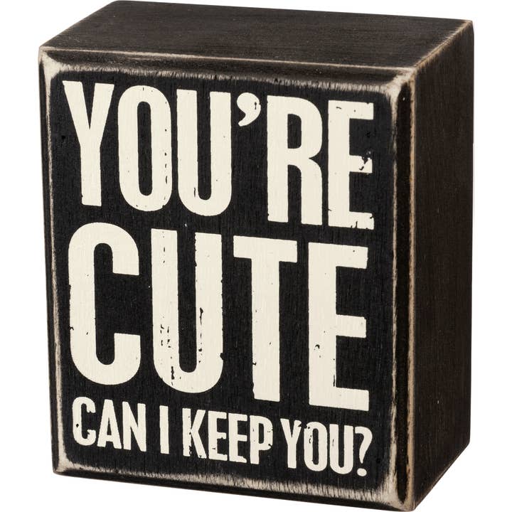 You're Cute Can I Keep You Box Sign for wholesale by Primitives by Kathy
