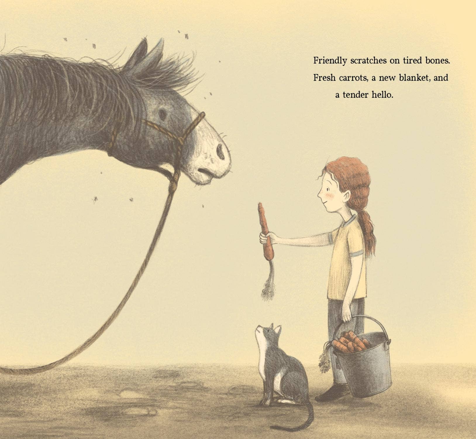 Sleeping Bear Press - Wholesale Preschool Book (3-5) - Brave Old Blue Picture Book3