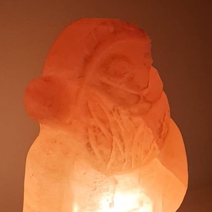 Himalayan Salt Lamp - Santa Clause for wholesale by Pink Gold