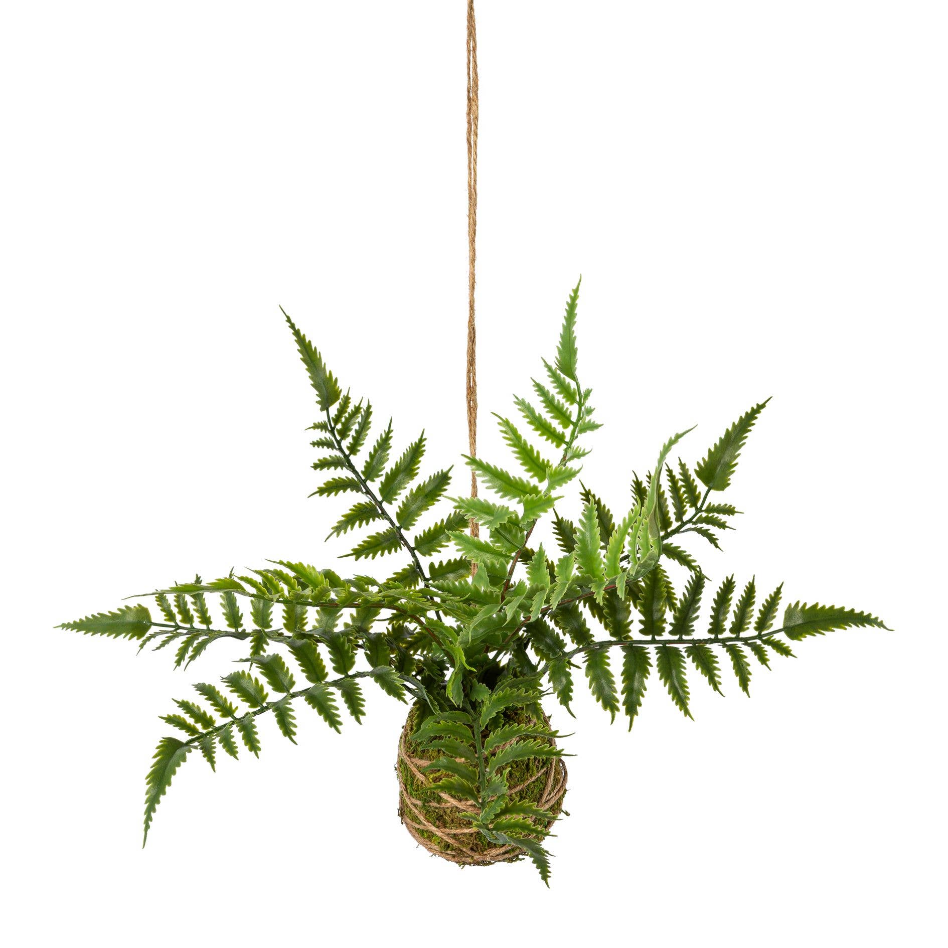 GASPER GmbH - Wholesale Artificial Plant - Ribbed Fern In Hanging Bale, Green 26x11cm0