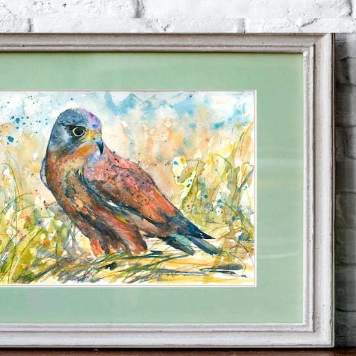 "Kestrel in Long Grass" Fine Art Print for wholesale by Naomi Neale Art