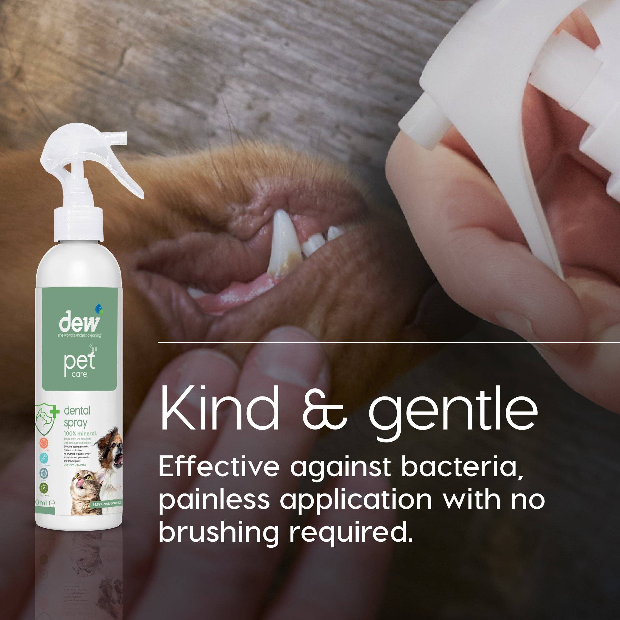 Dew – wholesale Pet spray – Dog – Pet Dental Spray 250ml2