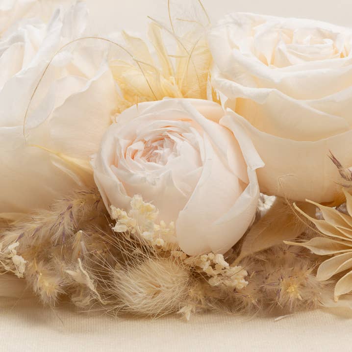 LES COURONNES DE VICTOIRE - Wholesale Tiara - Women's - Sirena wreath1