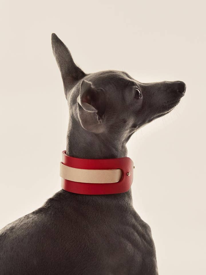 Puxar Cão · Nude por atacado de INDÓMITO