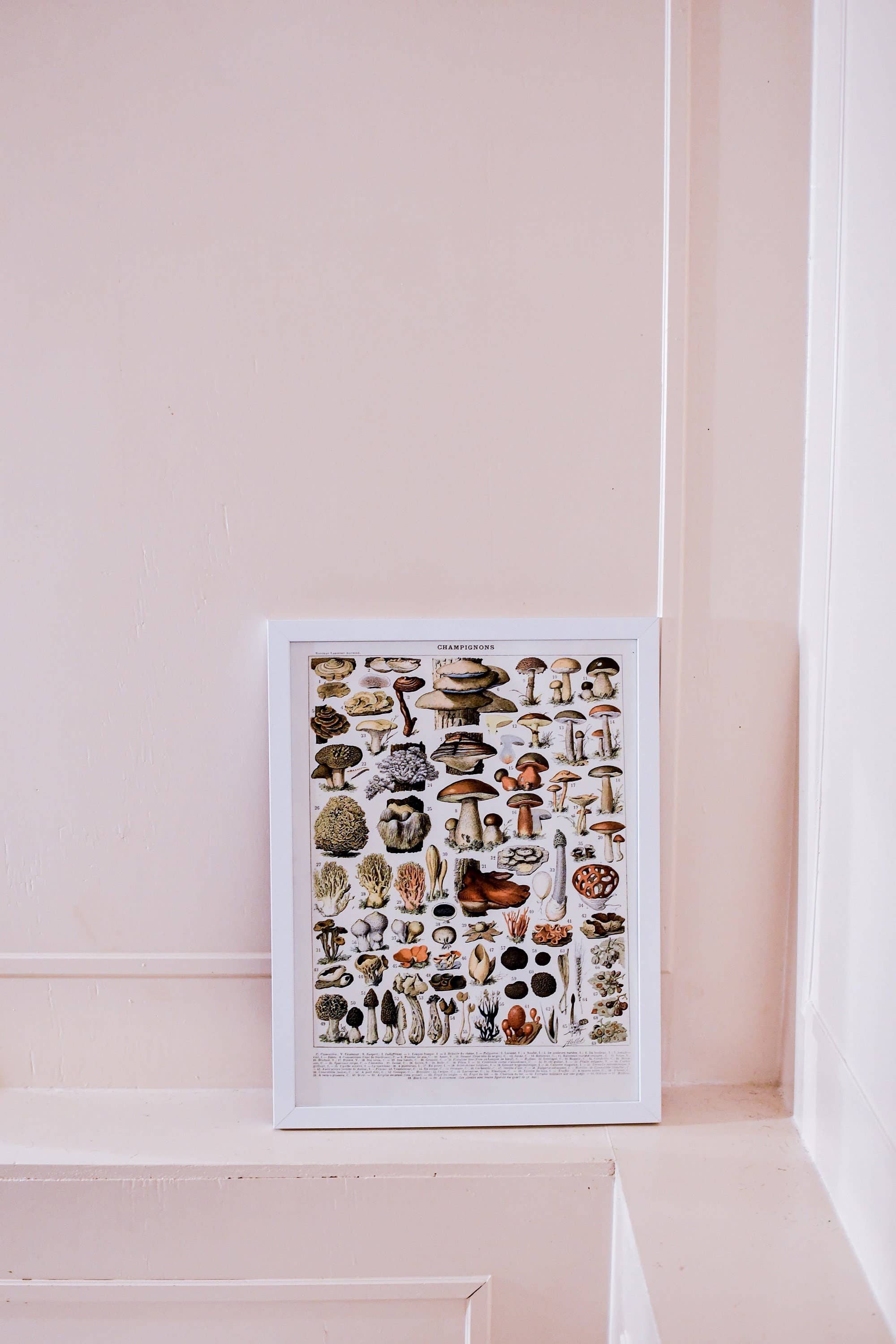 Vintage Wall Graphics - Wholesale Poster - Alphonse Mucha Art Nouveau Mucha Romantic Decor Mucha Art4