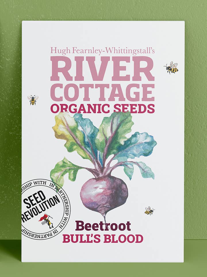 Organic Beetroot Seeds Bulls Blood | River Cottage for wholesale by Seed Revolution