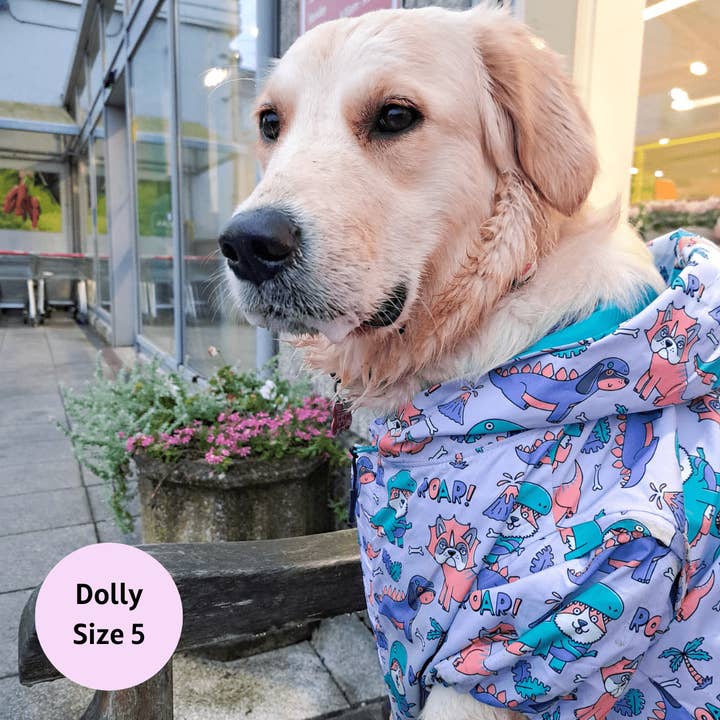 Zelda & Harley – wholesale Pet raincoat – Dog – Doggosaurus Rex Reversible Raincoat5