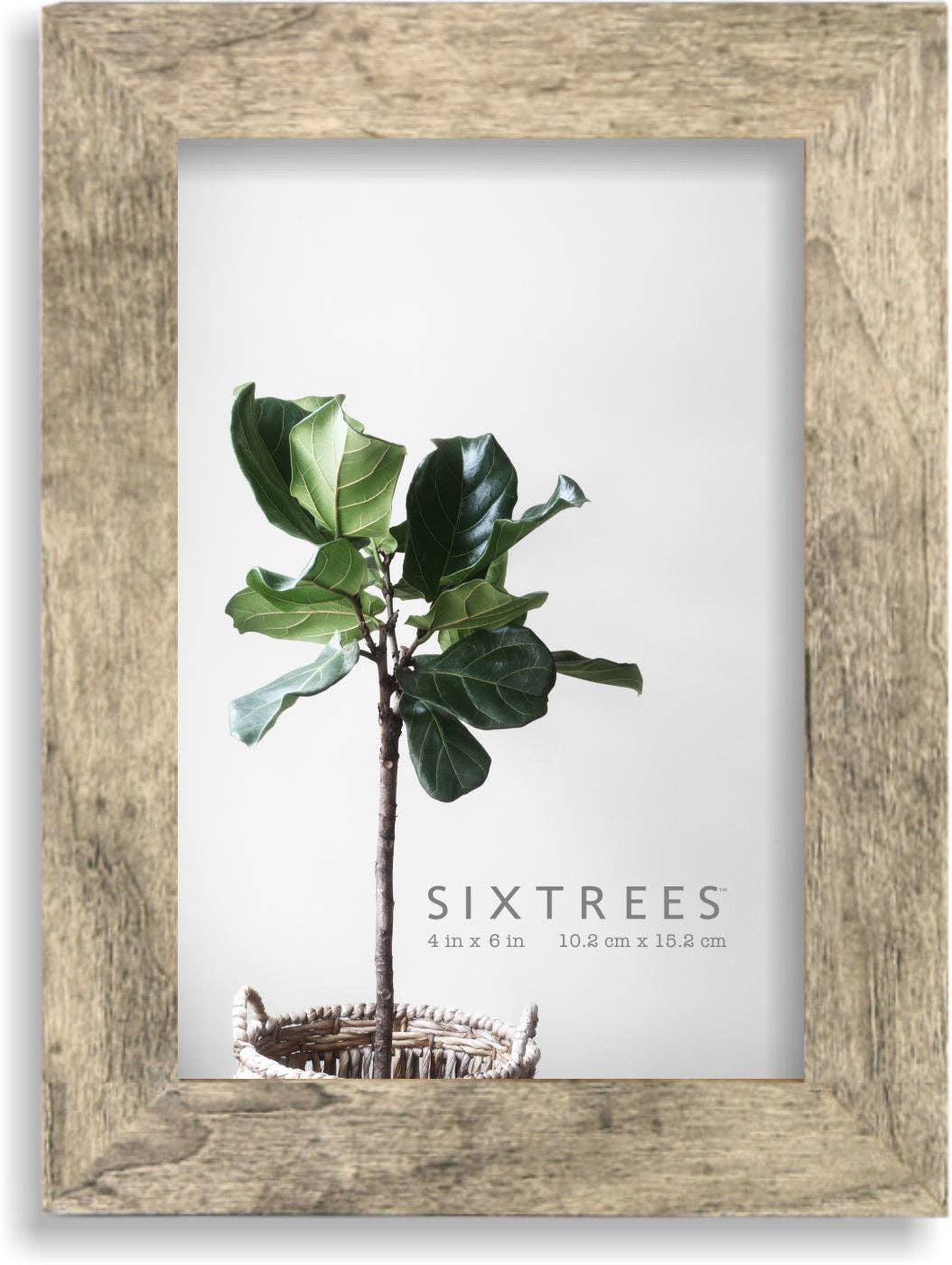 Sixtrees - Wholesale Picture Frame - Lawrence Wood Picture Frame - 4X6, 5X7, 8X10 - Multiple Colors14