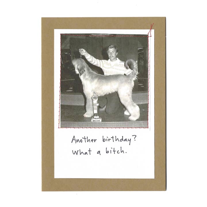 "Another birthday? What a bitch." for wholesale by Visual Treats