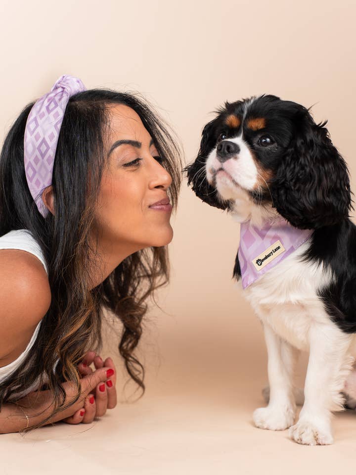 Passendes Haustier und Besitzer: Stirnband und Halstuch — Lilac Diamonds für den Großhandel von Pawsbury Lane