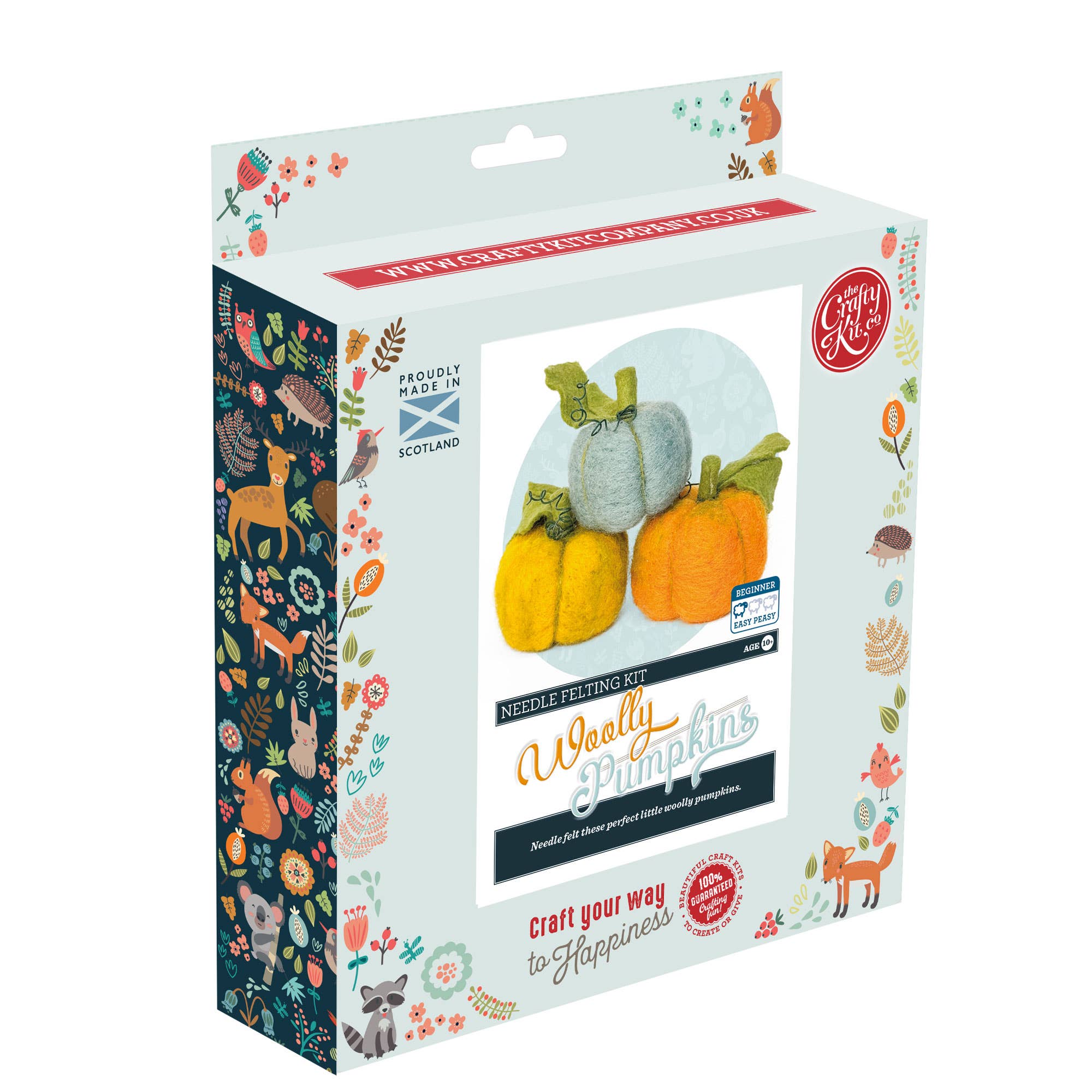 The Crafty Kit Company - Wholesale Craft Sewing Kit - Woolly Pumpkins Needle Felting Craft Kit3