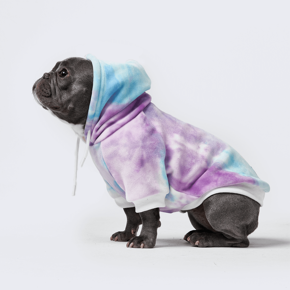 Spark Paws – Engroshandel Hoodie - Hund – Velvet Dog hættetrøje - 90s Retro6