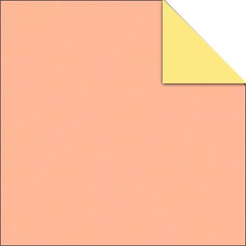URSUS® / Buntpapierfabrik Ludwig Bähr GmbH & Co. KG - Wholesale Briefhoofd - Origamipapier Duo „Pastel”