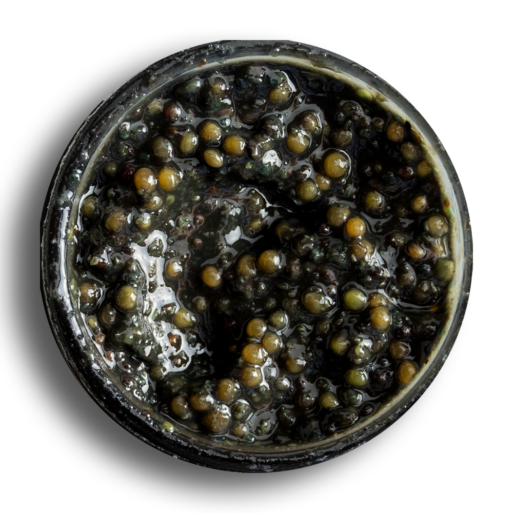 Altenburger Senf & Feinkost GmbH & Co. KG - Wholesale Mustard - Mustard caviar1