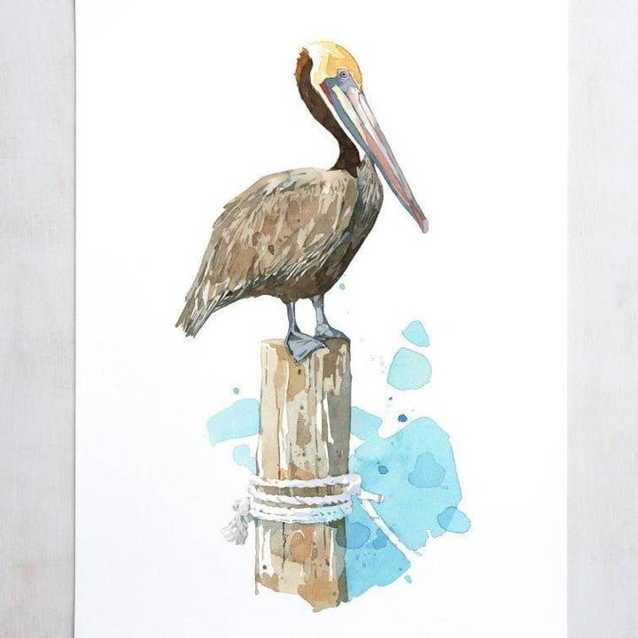 Pelican akvarell konst Print, Nautisk Fågelmålning för wholesale av Studio Tuesday