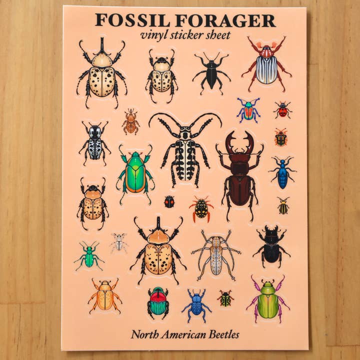 North American Beetles Sticker Sheet for wholesale by Fossil Forager