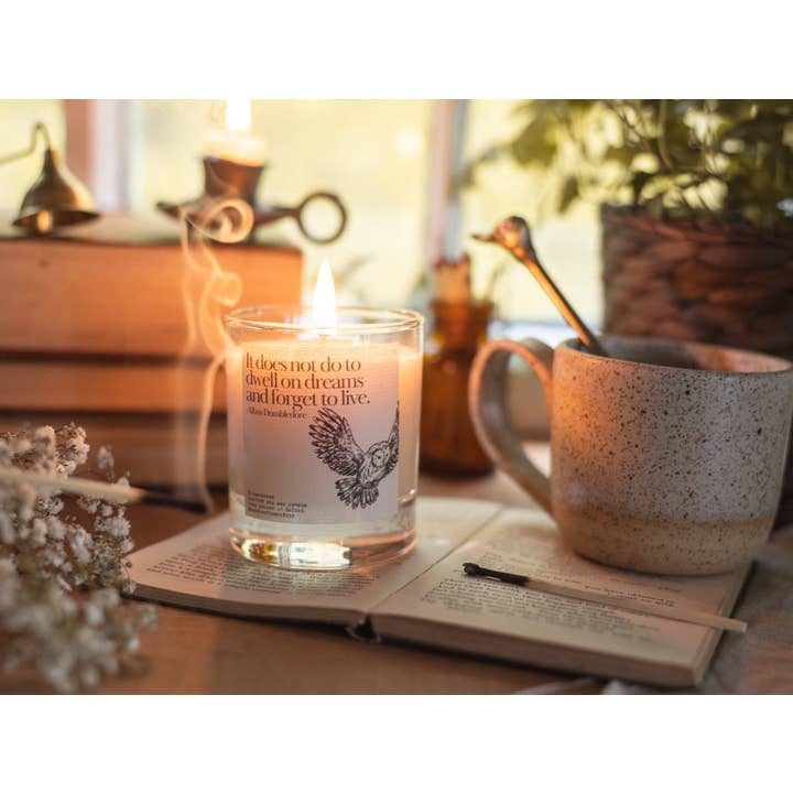 Candles from Oxford - Wholesale Jar/Filled Candle - Albus Dumbledore Candle Gift - Wizard Owl Potter Book