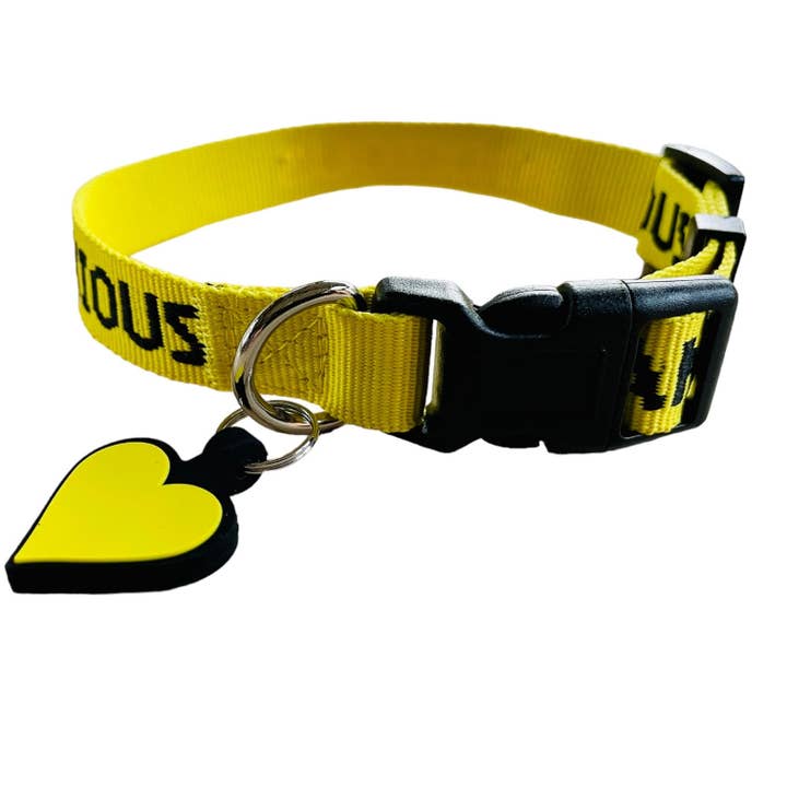 ANXIOUS yellow adjustable dog collar for wholesale by My Anxious Dog