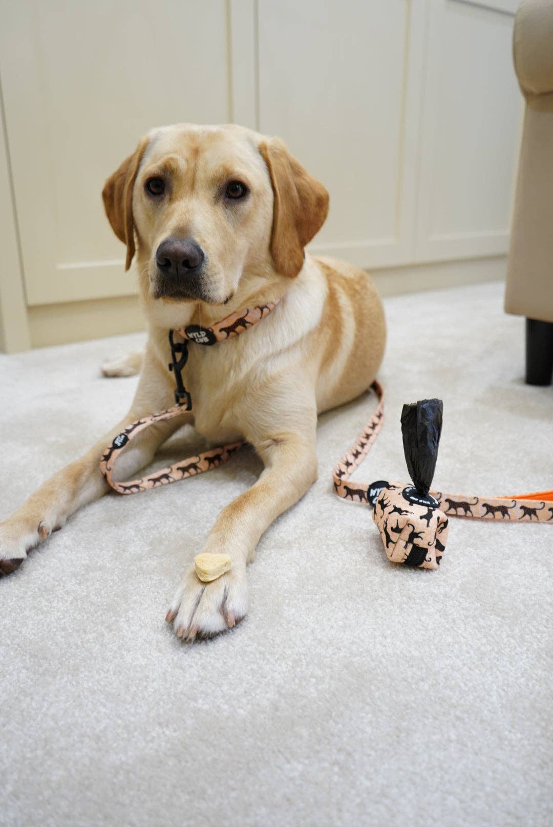 WYLD CUB – wholesale Pet leash – Dog – Kiss Chaser: Dog Lead1