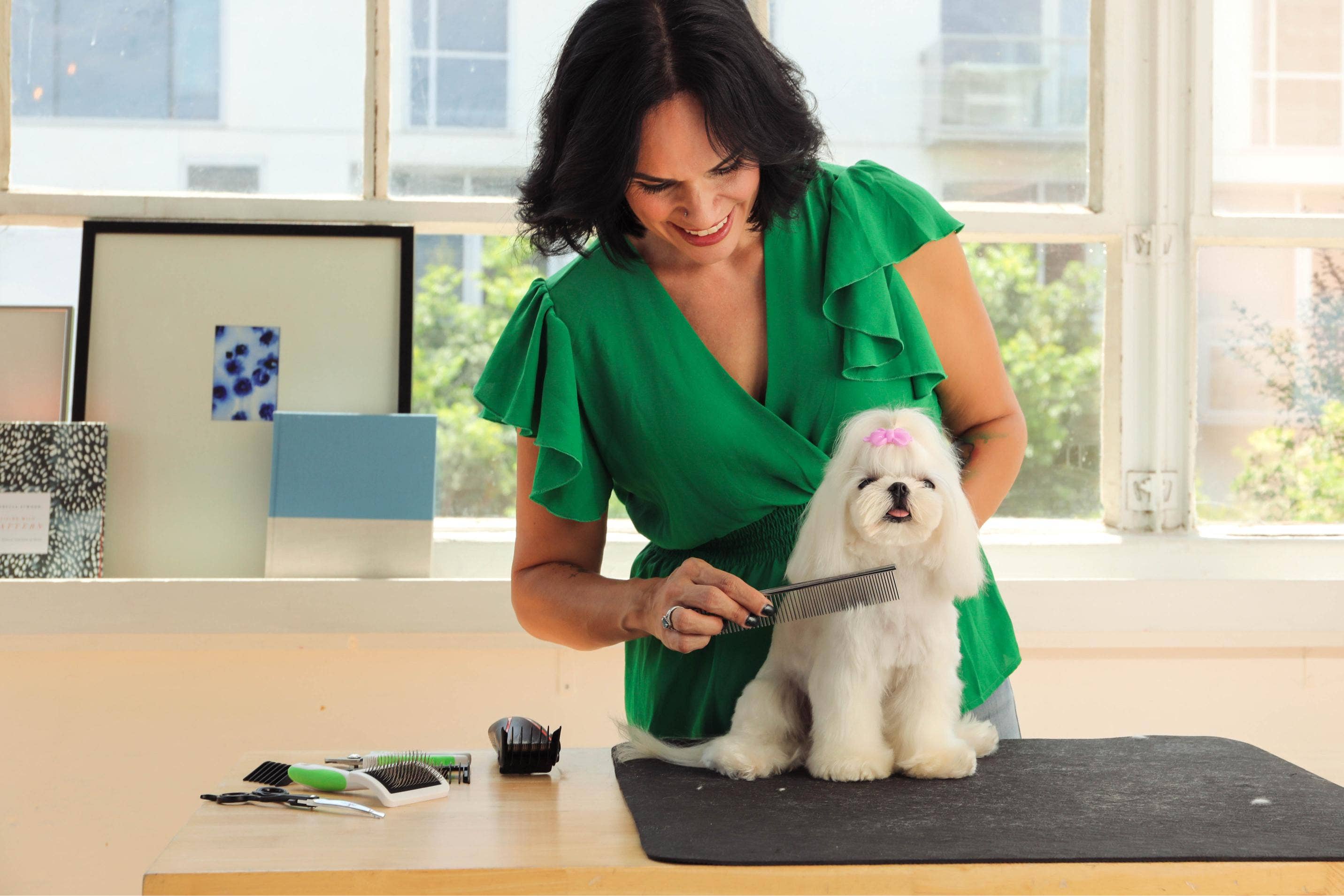 Pet Palette Distribution - Wholesale Pet Grooming Tool - Dog - Andis  10" Steel Comb - VBL3