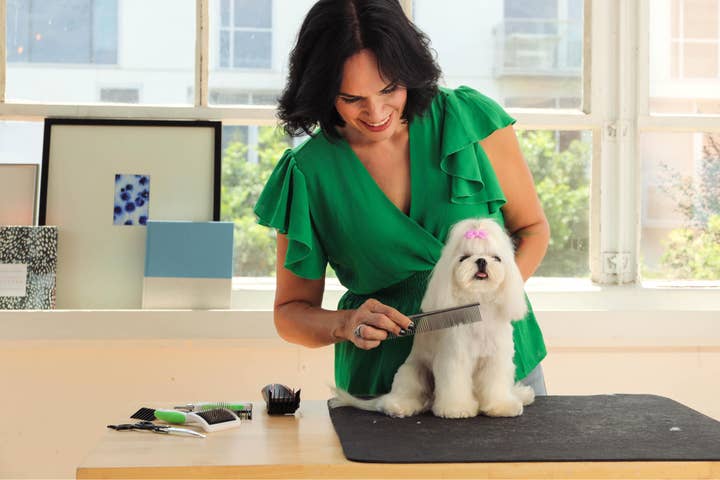 Pet Palette Distribution - Wholesale Pet Grooming Tool - Dog - Andis 10" Steel Comb - VBL3