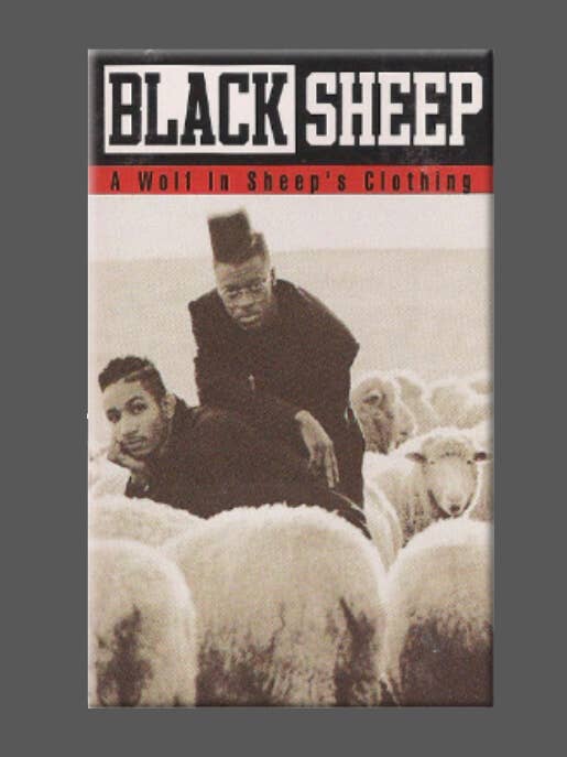 BLACK SHEEP, Magnet, Button, Mirror, WOLF IN SHEEPS CLOTHING for wholesale by Ba Ba Buttons