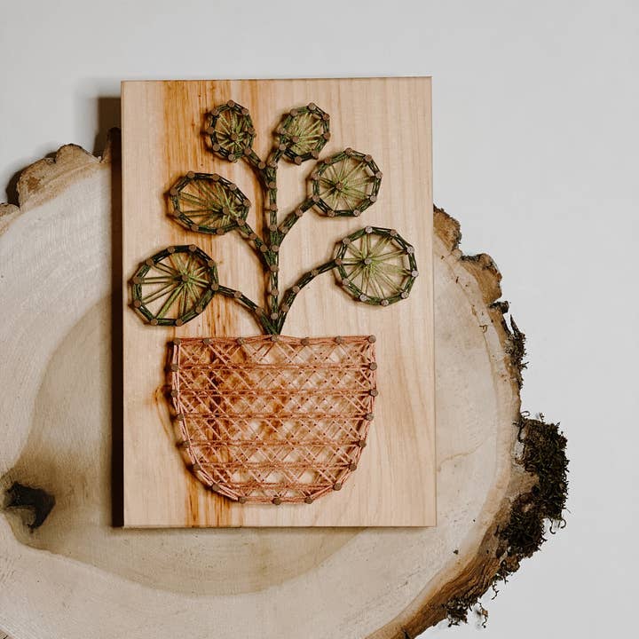 Knot Really Art - Wholesale DIY Craft Kit - Pilea Plant DIY String Art Kit