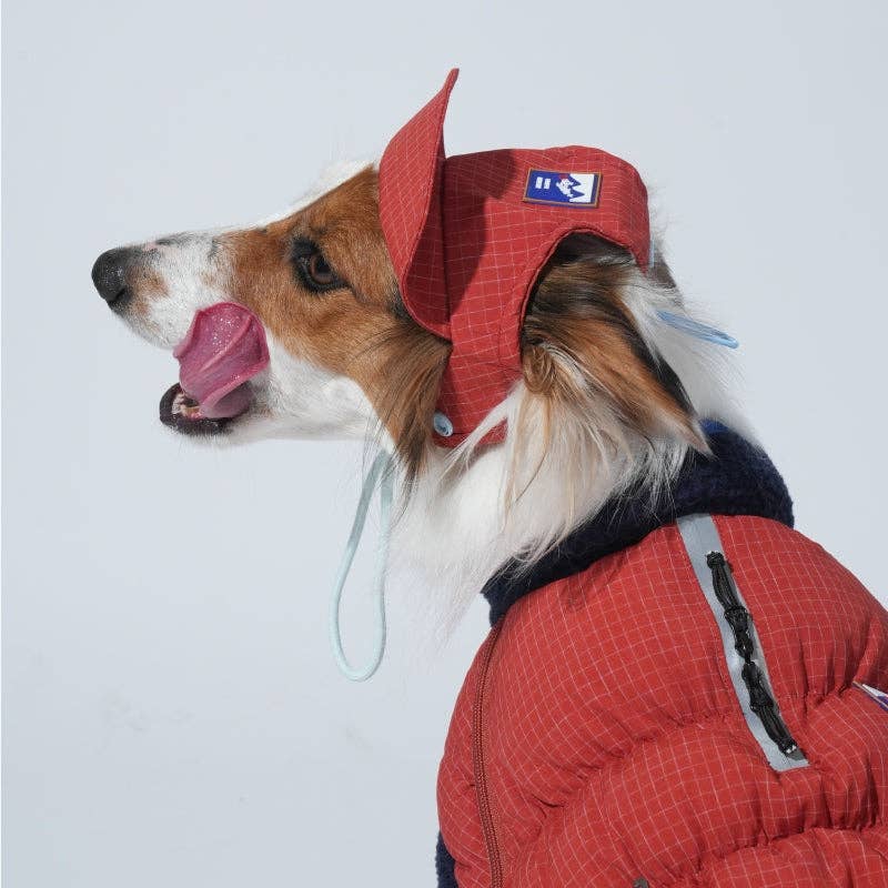 Puppy Gallery - Wholesale Pet Hat - Dog - Ear Cover Fleece Hat9