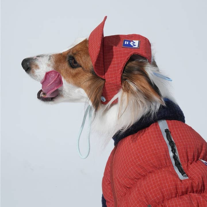 Puppy Gallery - Wholesale Pet Hat - Dog - Ear Cover Fleece Hat9