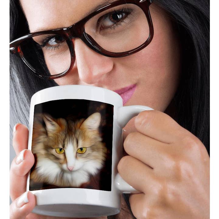 3dRose - Wholesale Coffee Mug - 3dRose, Felix The Cat, Mug9