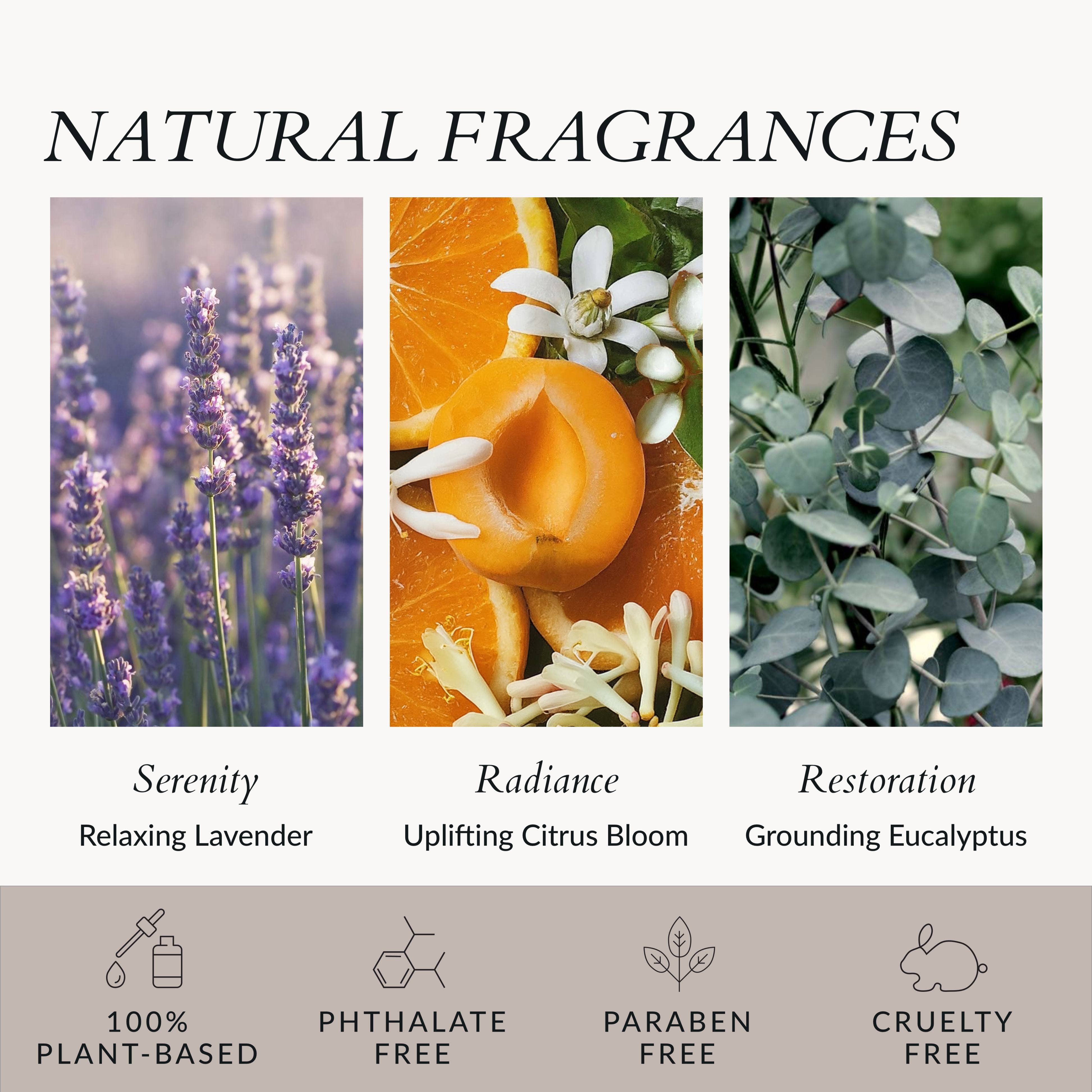 Jazeena - Wholesale Bath/Body Oil - Body Serum Candle Refill | Compostable, Microwave Safe 4oz8