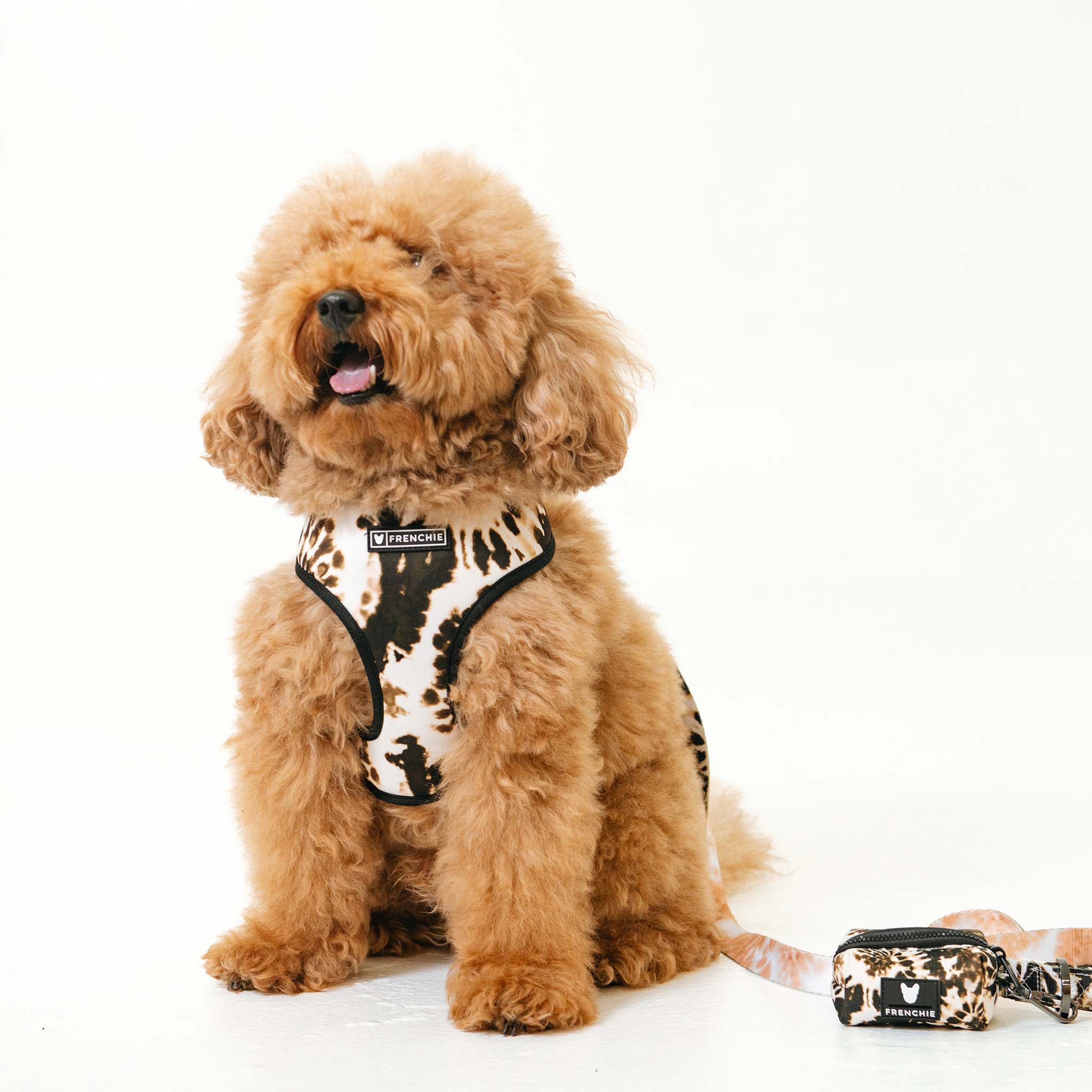 Frenchie – wholesale Pet harness – Dog – Frenchie Duo Reversible Harness - Earthy Tie Dye1