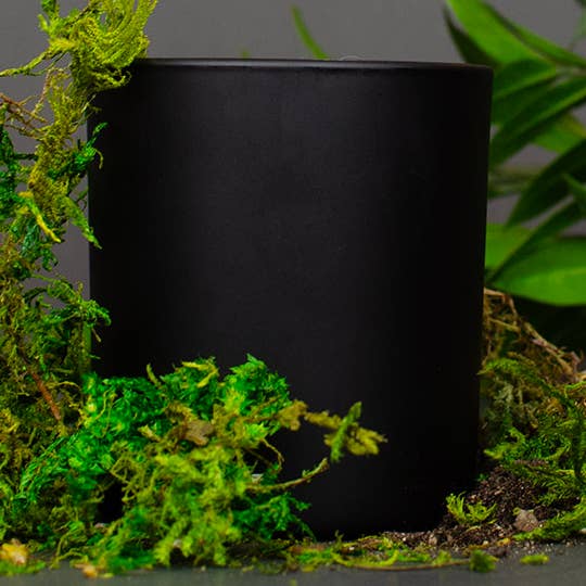 Alcott Candles - Wholesale Jar/Filled Candle - This Is The Last Time | Clean Burning Candle