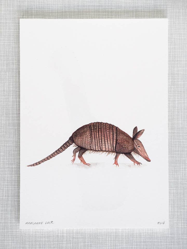 Armadillo Animal Print A4 size for wholesale by Mary and the Locks