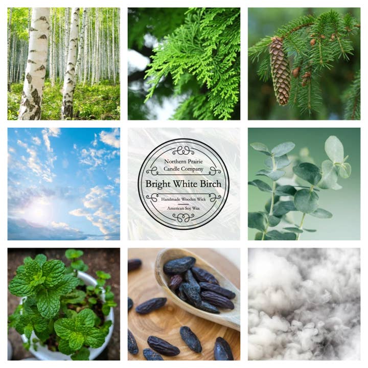 Bright White Birch for wholesale by Northern Prairie Candle Company