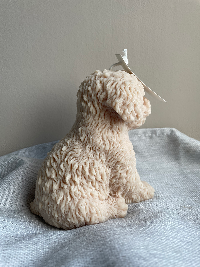 Silke-Amsterdam - Wholesale Grappige kaars - Puppy Kaars XL | Dierenkaars | Silke-Amsterdam2