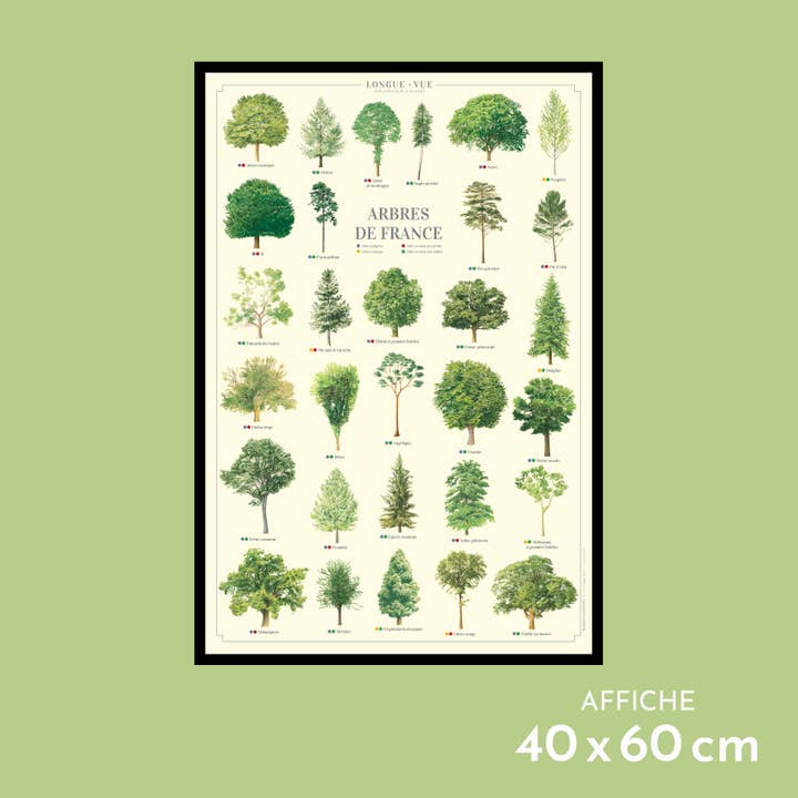 Trees of France - Poster for wholesale by Longue-vue