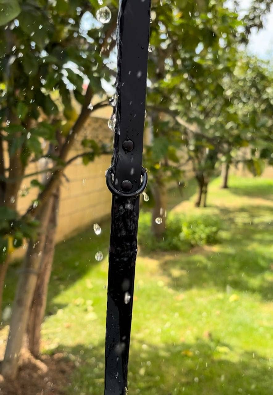 HUELLITAS INFINITAS - Wholesale Pet Leash - Dog - Black Waterproof Strap Monocolor Edition