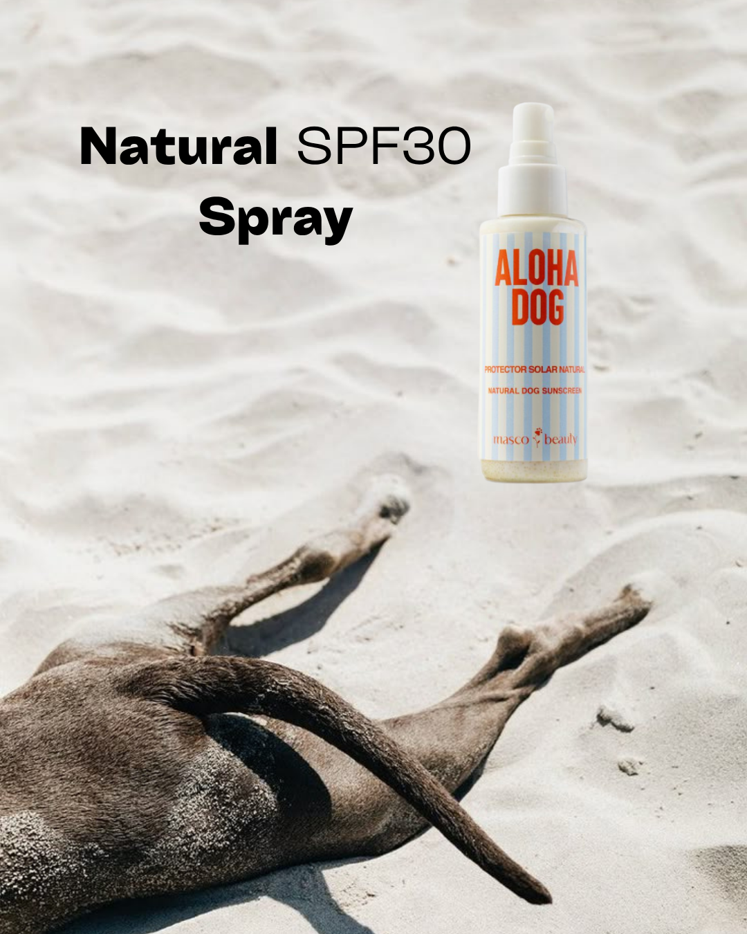Masco Beauty - Vendita all'ingrosso Spray - Cani - ALOHA DOG – Protezione Solare Naturale SPF 30 per Cani1