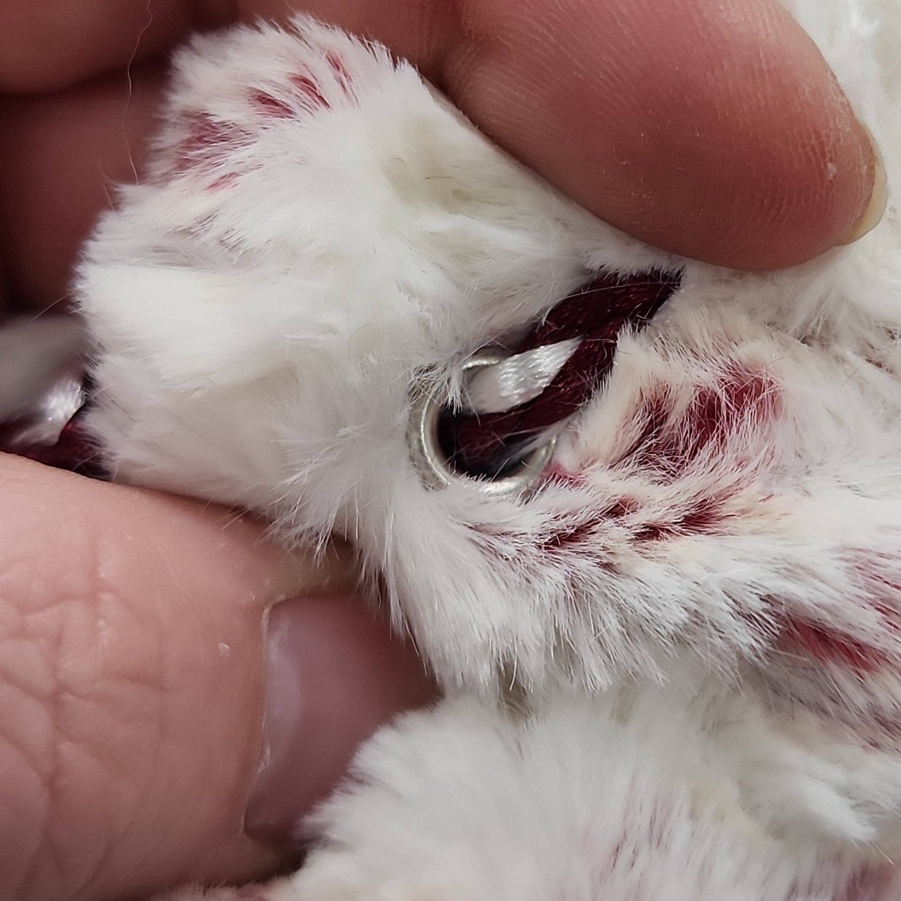 Impassible Creations - Wholesale Dice - Raging Ikwiikwii Minky Dice Bag6