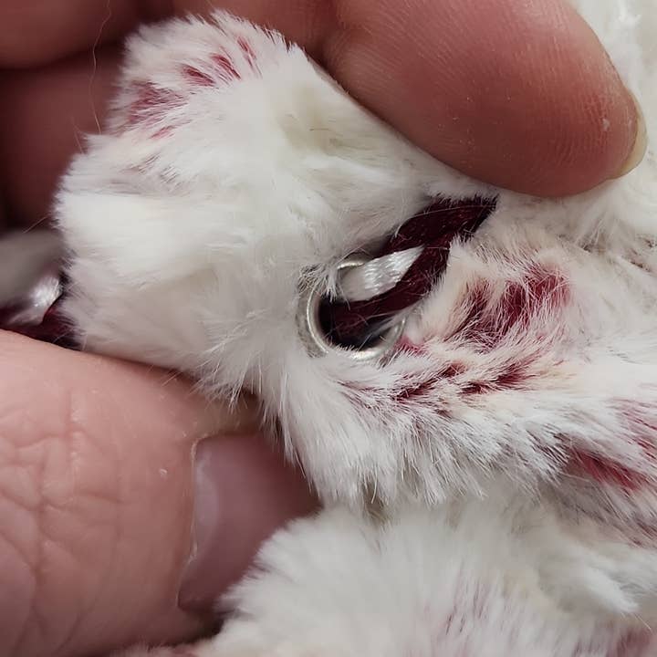 Impassible Creations - Vendita all'ingrosso Dadi - Borsa per dadi Raging Ikwiikwii Minky6