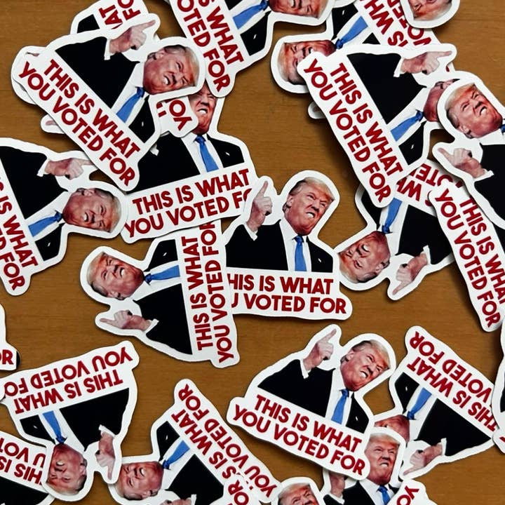 This Is What You Voted For Anti Trump Stickers for wholesale by McKean And Co