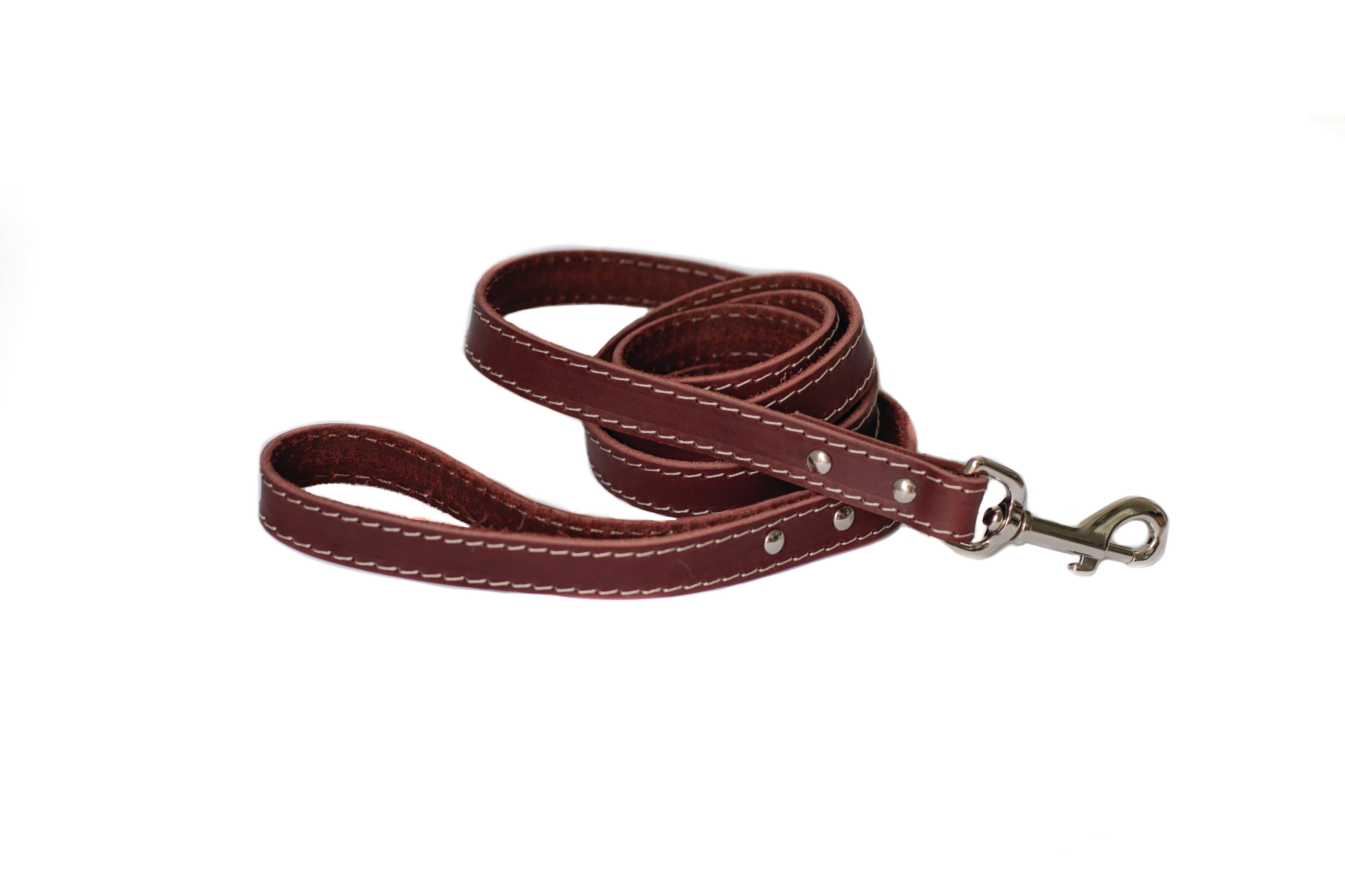 Euro-Dog Collars and Leads - Vendita all'ingrosso Guinzaglio - Cani - Guinzaglio per Cani in Pelle Pro Caccia Stile Tradizionale con Moschettone in Acciaio7