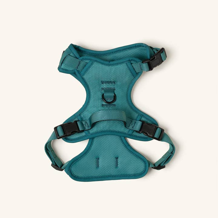 Peachy Dogs - Wholesale Pet Harness - Dog - Mojito Classic 2.0 Harness4