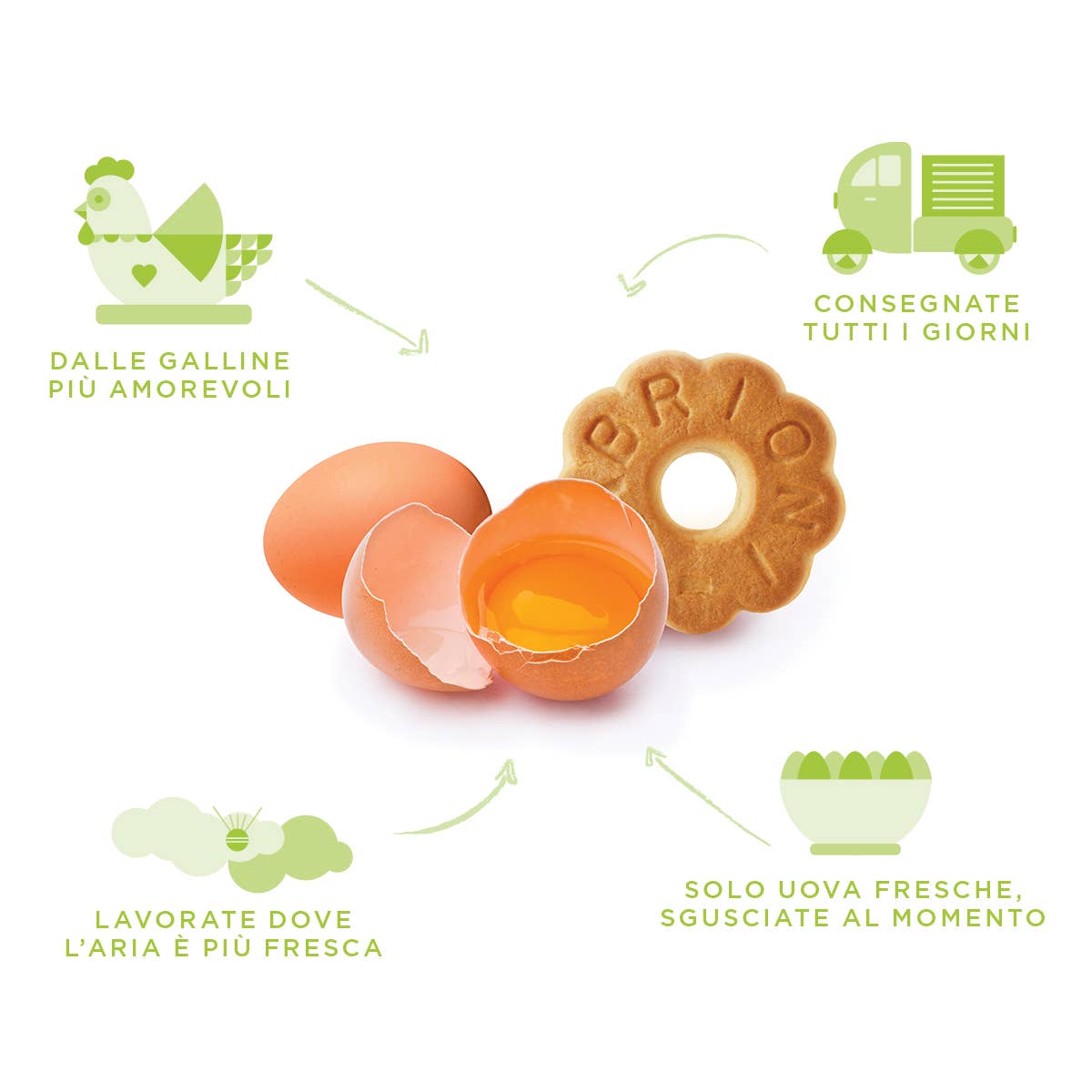 Cabrioni - Wholesale Cookie - Cabrioni artisanal Marola biscuits2