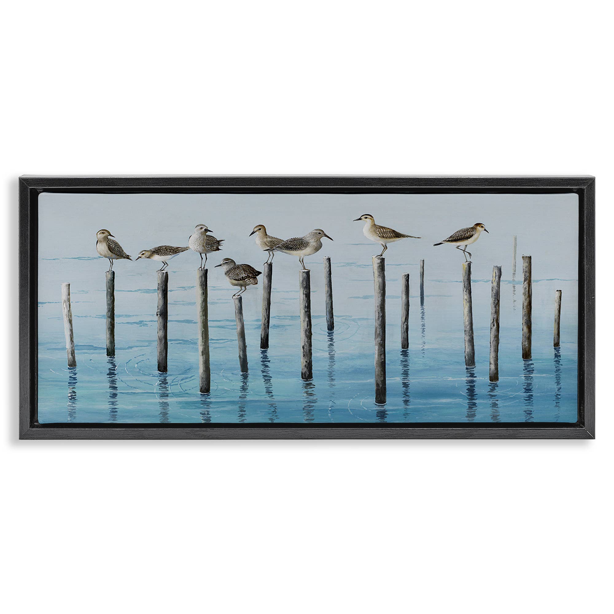 Stupell Industries - Wholesale Wall Sign - Perched Sea Birds - Framed Wall Art26
