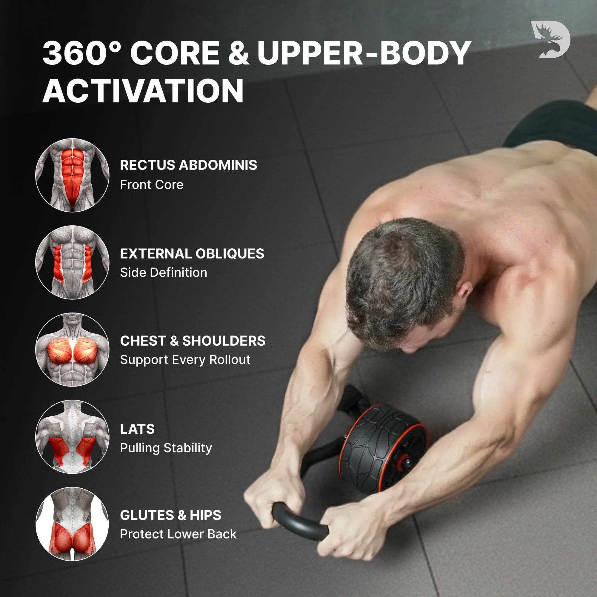 Gray DMoose Ab Roller for wholesale on Faire14