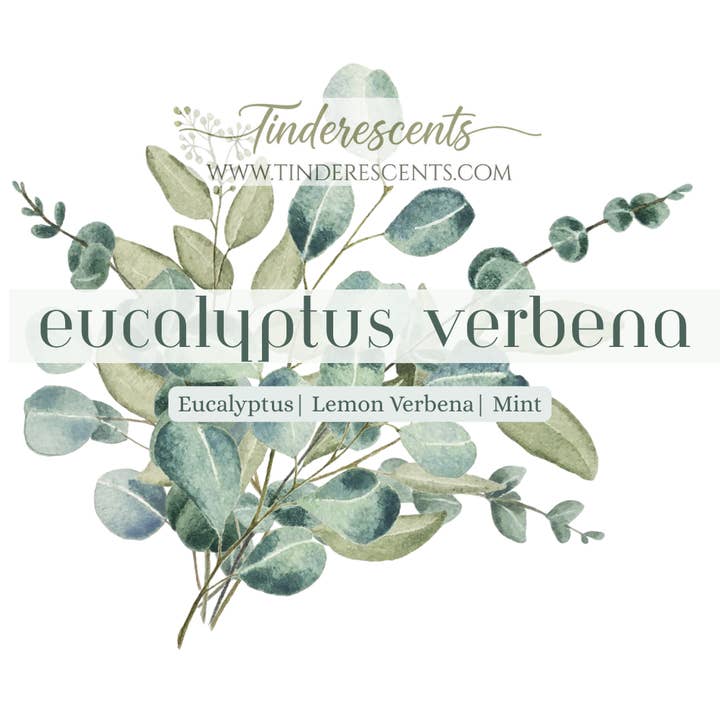 Eucalipto Verbena per la vendita all'ingrosso da parte di Tinderescents