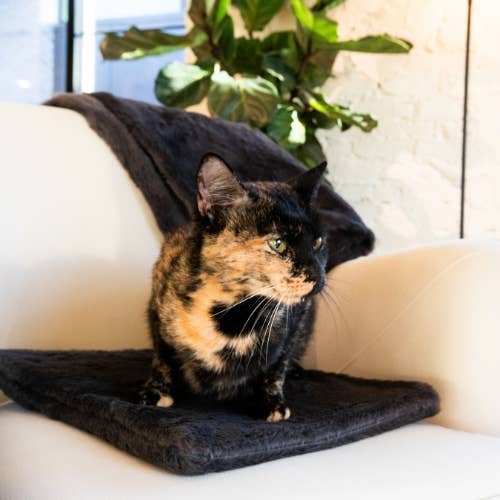 Purrfect Pair: Knead-it Pad™ and Premium Blanket for wholesale by Fluff & Boots